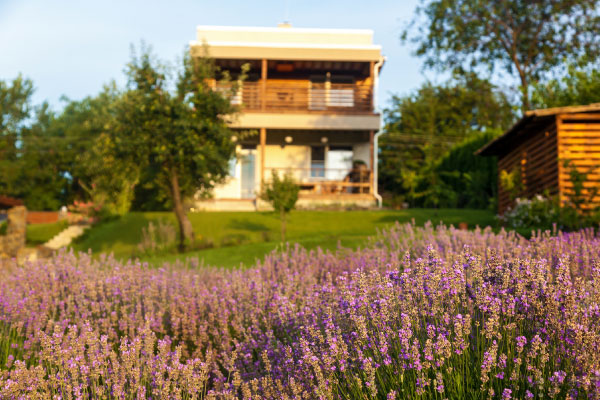 Field with lavender flowers and a beautiful modern country house - Federal Fees Increase for Vacation and Second Homes - DG Pinnacle Home Loans - Miami Mortgage Lender
