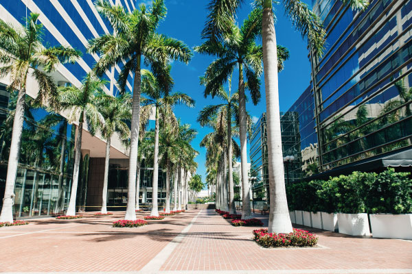 Empty streets Miami downtown - 10 Ways to Benefit From The Current Shift in Real Estate - DG Pinnacle Home Loans - Miami Mortgage Lender